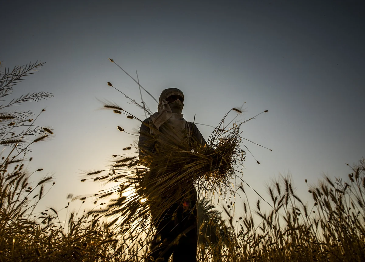 India Approves Ordinance To Allow Farmers To Freely Sell Produce
