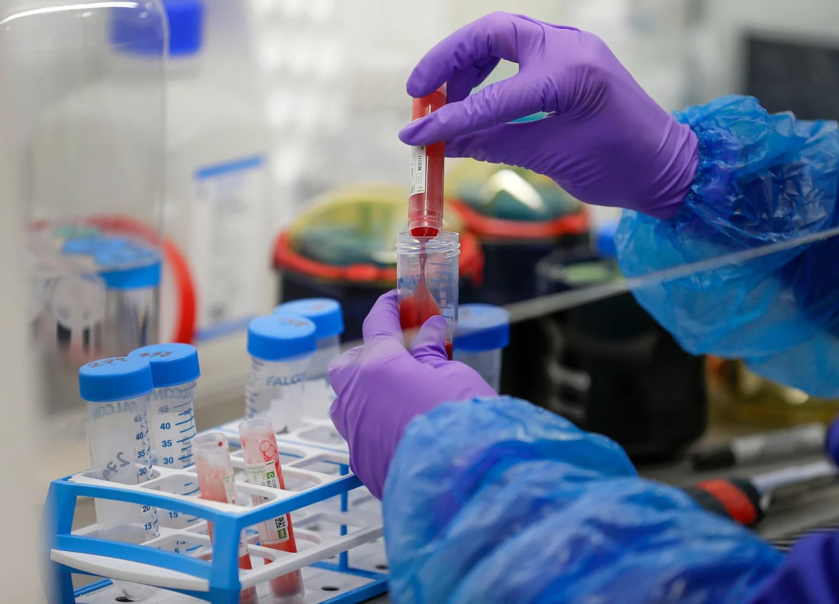 Virus-Linked Rare Blood Disorder Probed in South Korean Kids