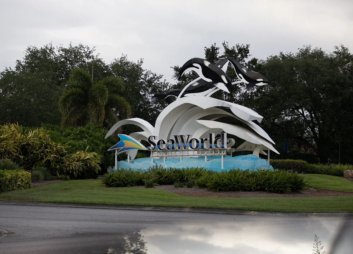 Disney, SeaWorld to Present Florida Theme-Park Reopening Plans
