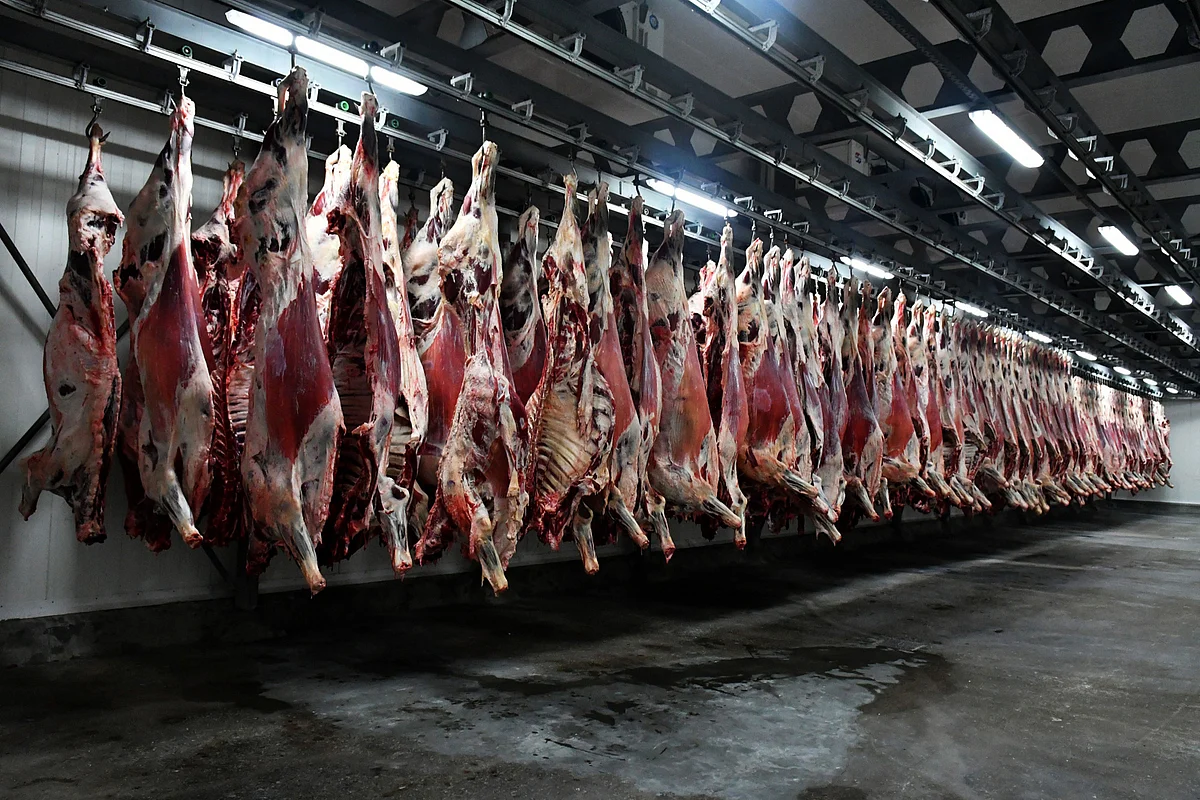 Top Buffalo Meat Shipper India Keen to Fill Global Shortage
