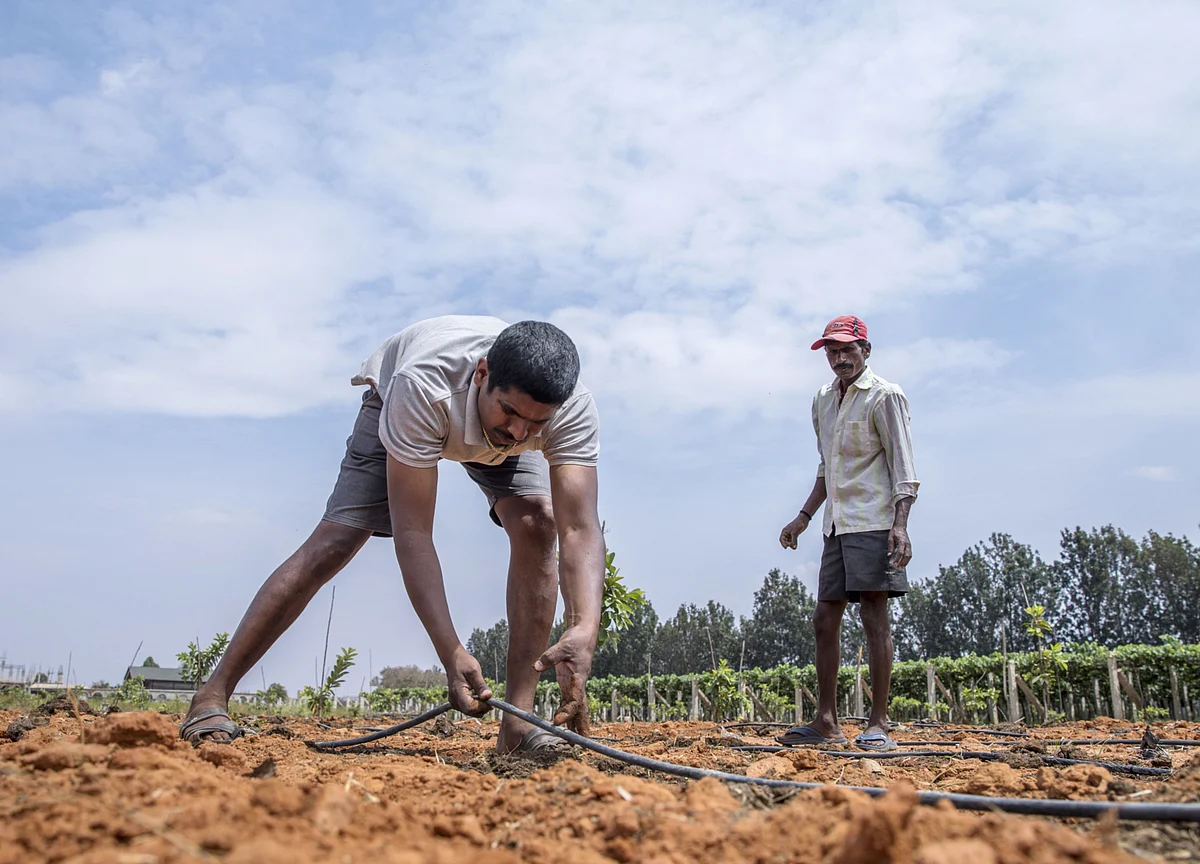 Startup Street: How A Farm Produce Marketplace Dealt With The World’s Largest Lockdown