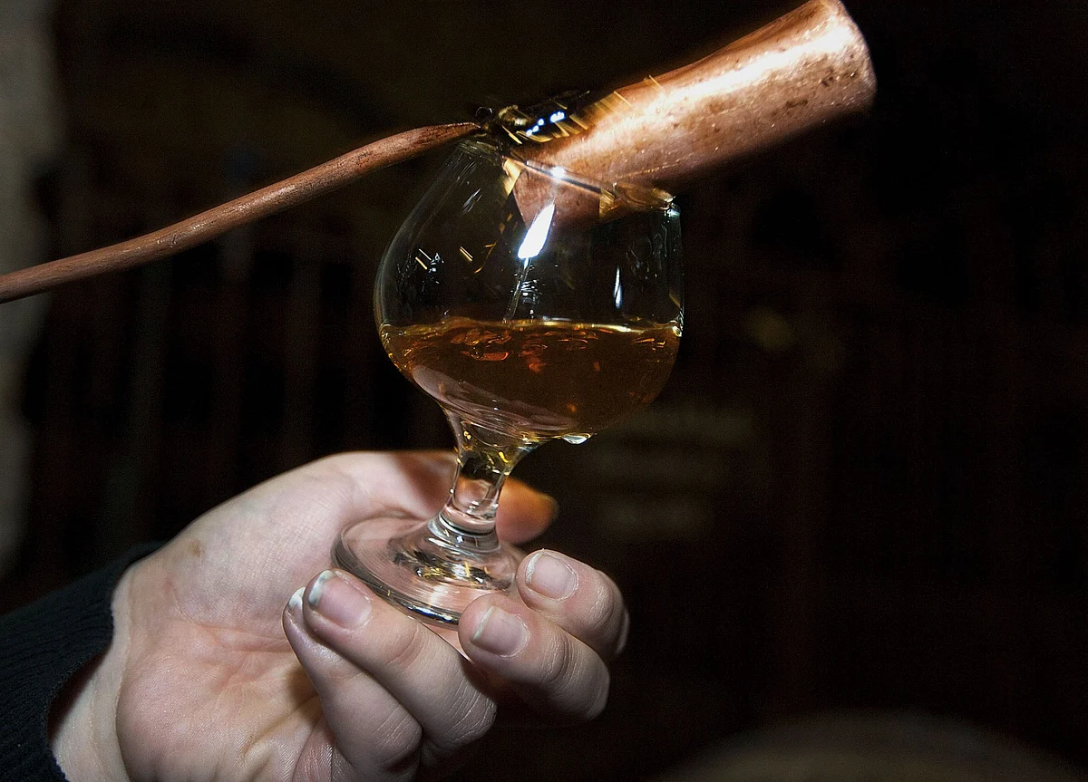 Tequila and Mezcal Are Over. Here’s What to Drink Next