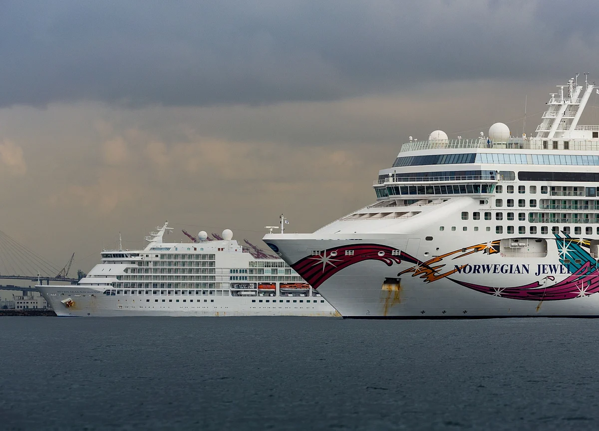 A Cruise—Yes, a Cruise—Will Be the Way I Recover After All This
