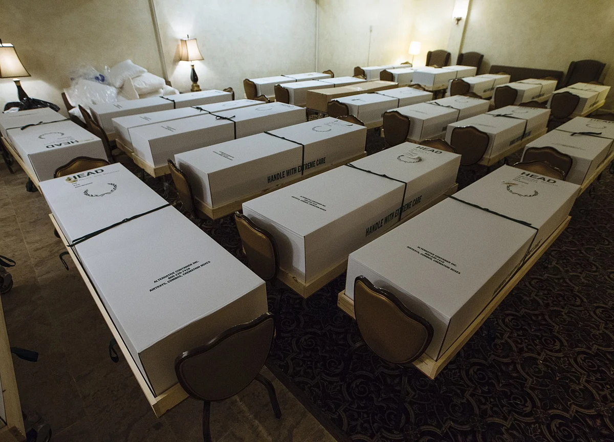 New York City Saw 24,172 More Deaths Than Normal During Outbreak