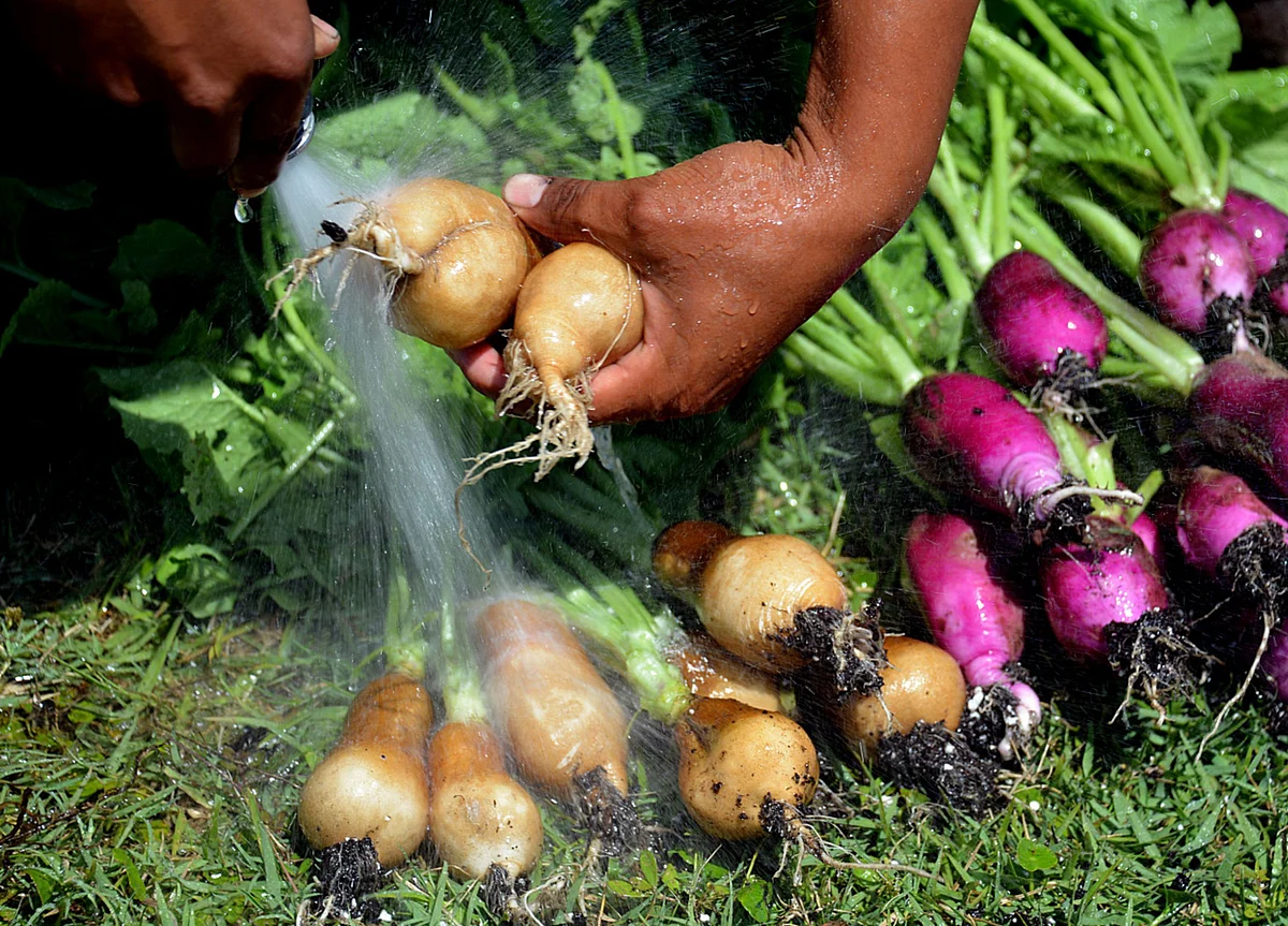 One of the World’s Top Chefs Has a Plan to Save Farm-to-Table Dining