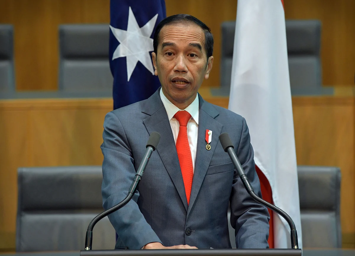 New Virus Cases in Indonesia Rise as Jokowi Laments Slow Testing