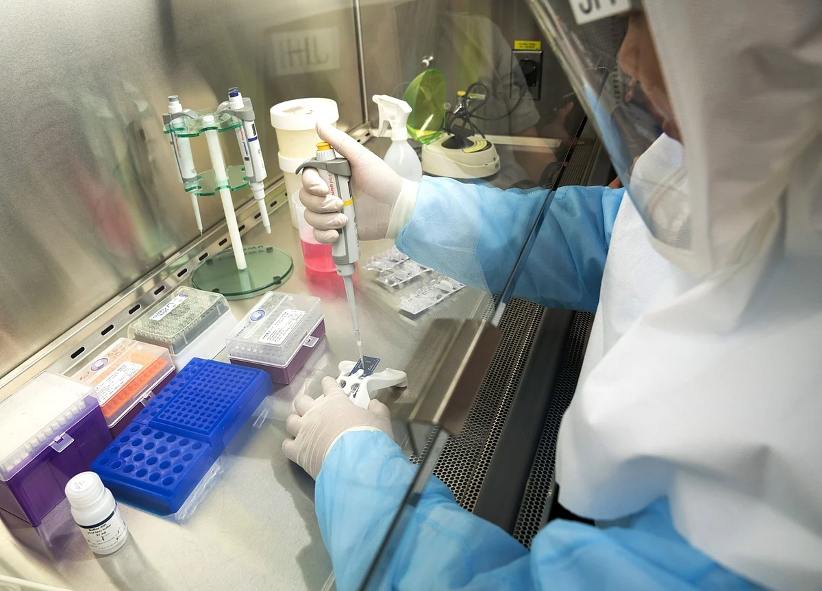 Scientists Create Antibody That Defeats Coronavirus in Lab