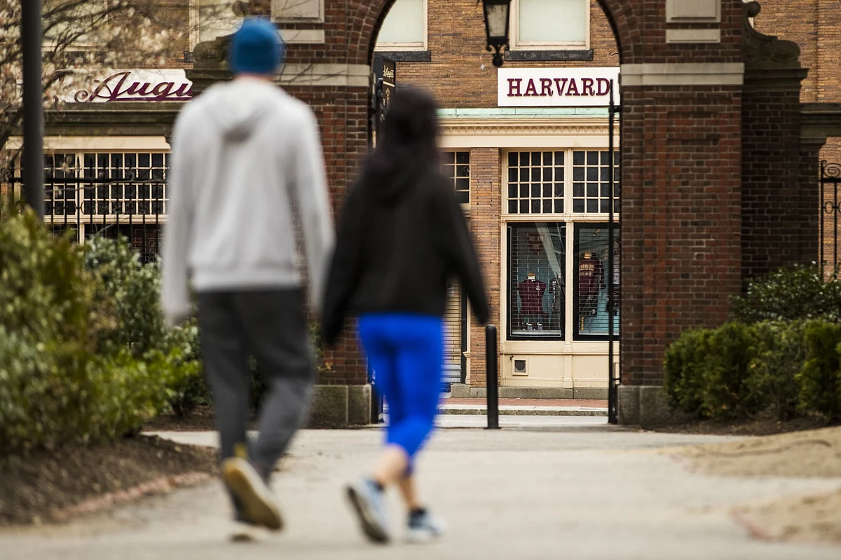 Pedestrians walk through Harvard Yard. (Photographer: Adam Glanzman/Bloomberg)