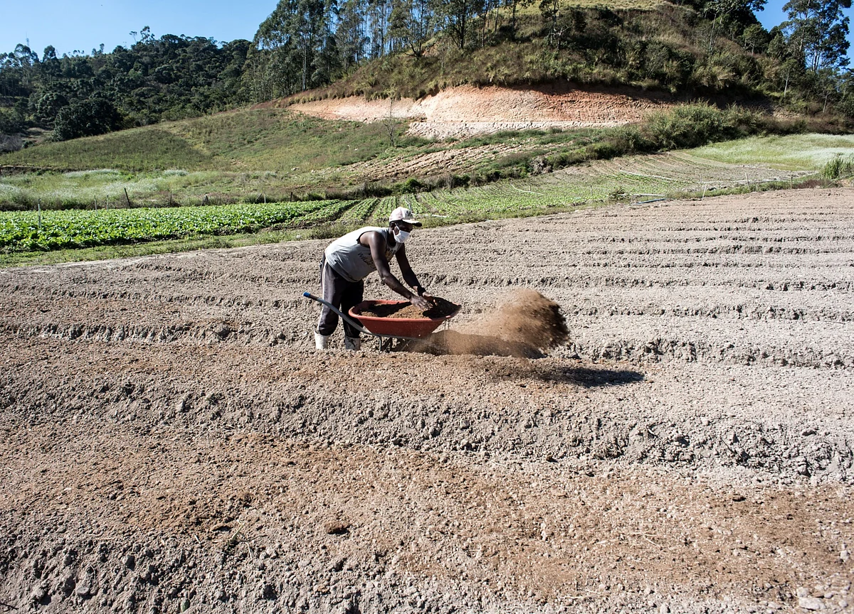 Brazil Nods to More Easing Amid Double-Digit Tumble in Activity