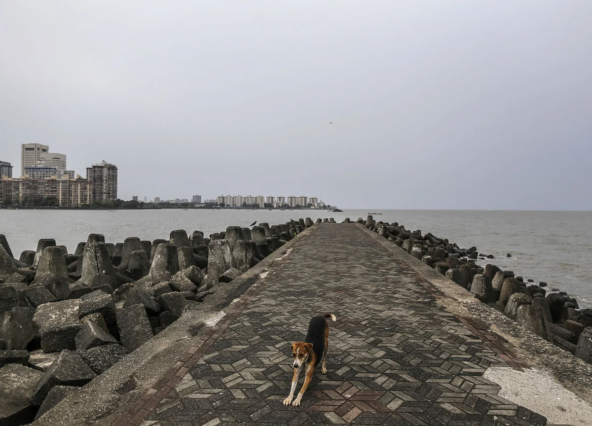 Aberdeen Standard Turns Defensive on India on Absent Demand Push