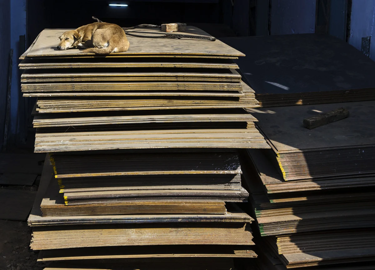 India’s Animal Spirits in Deep Slumber Despite Economy Reopening