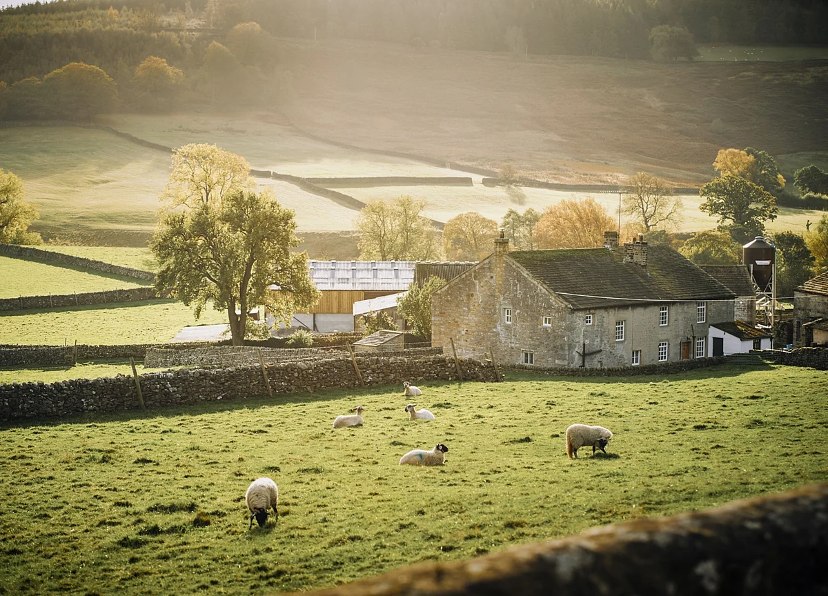 U.K. Realtors See Surging Demand for Green Space in Housing