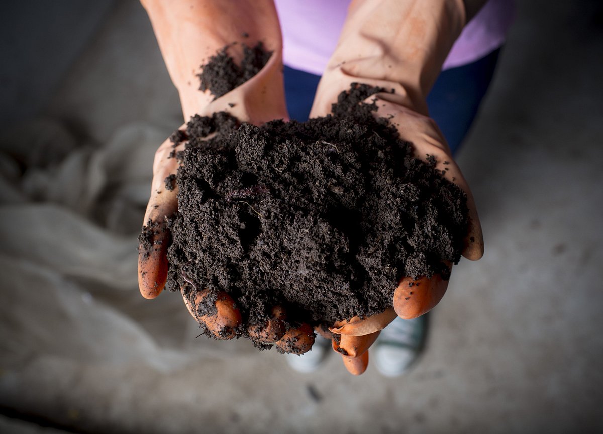 Filthy, Stinking, Rich Dirt