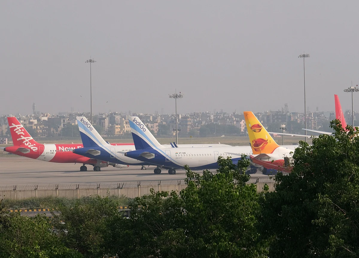 India Warns of Risk to Planes as Wildlife Flourishes at Airports