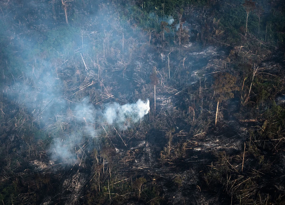 Amazon Rainforest Fire Season Starts With Outlook for Record Burn