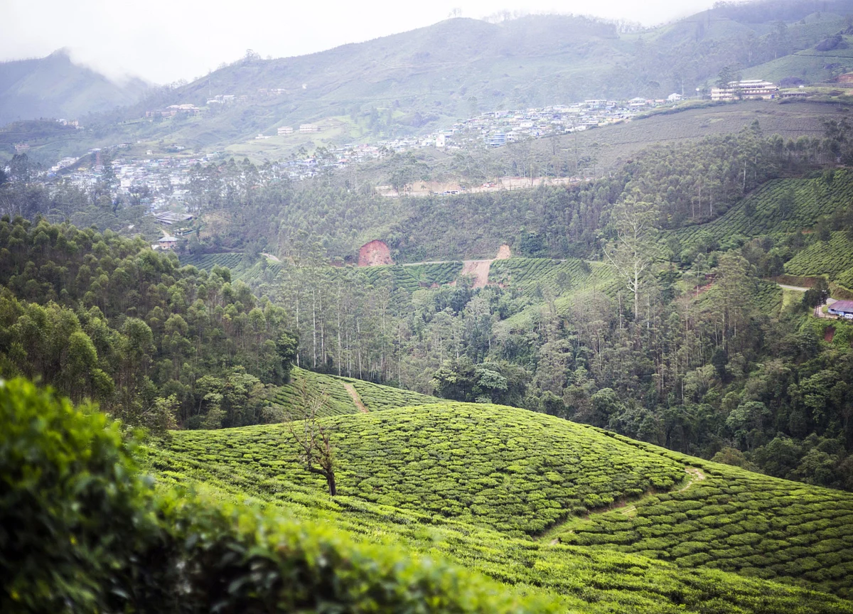 IMD Declares Onset Of Southwest Monsoon Over Kerala