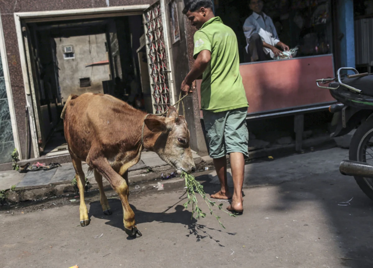 India’s Animal Spirits Remain Fragile Despite Economy Reopening
