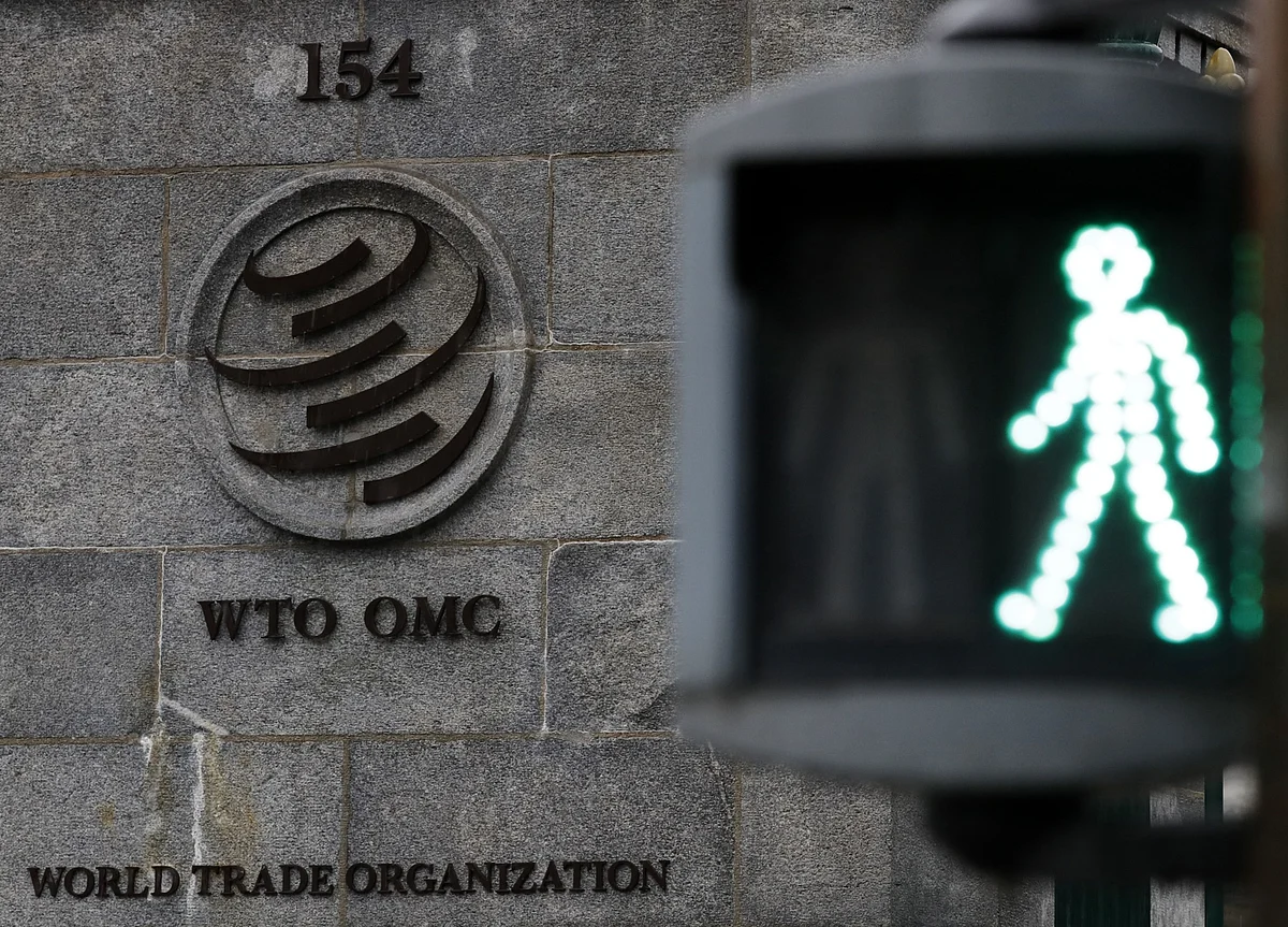 The Next WTO Chief Treads a Fine Line Between the U.S. and China