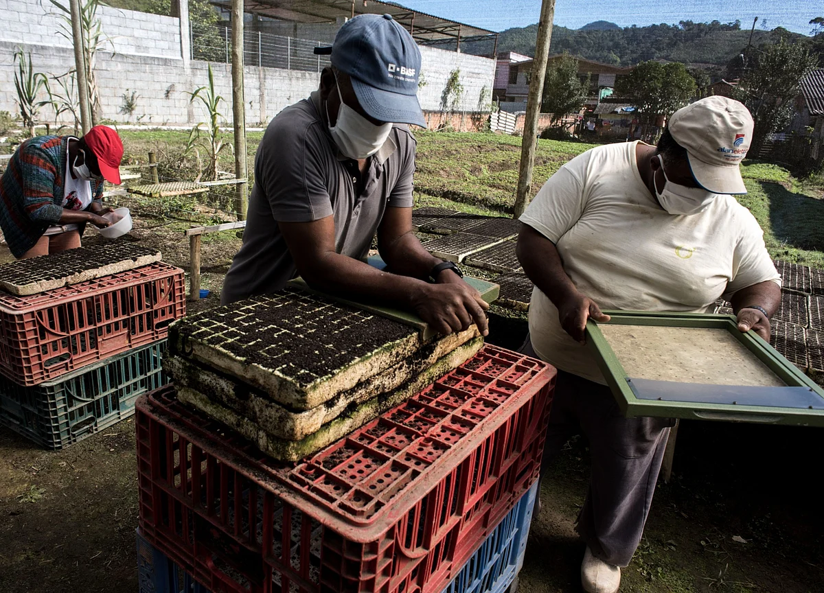 Getting Covid Gets You Fired When You’re a Food Worker on a Visa