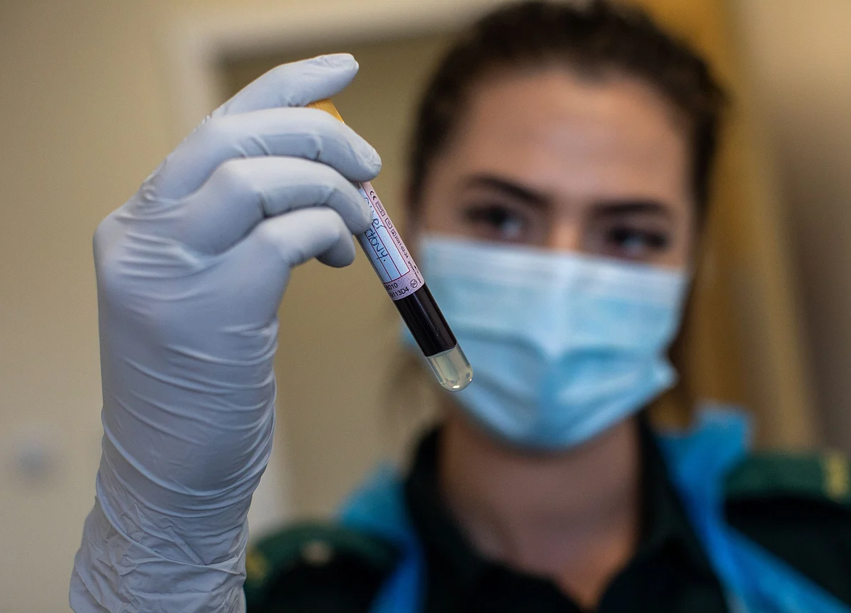 New Antibody Tests Offer Better Snapshot of Covid-19 Immunity