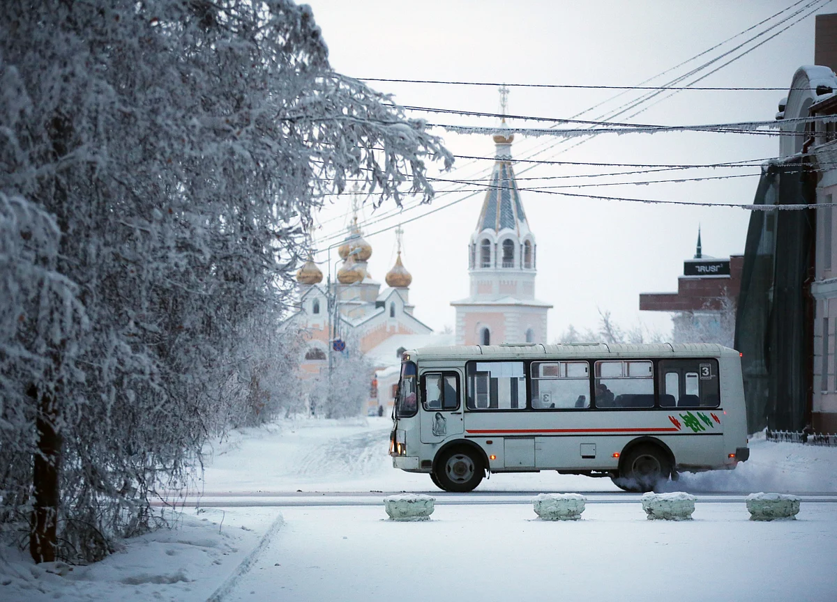 A Journey Into Siberia, a Wilderness of Tigers, and Lost Pianos