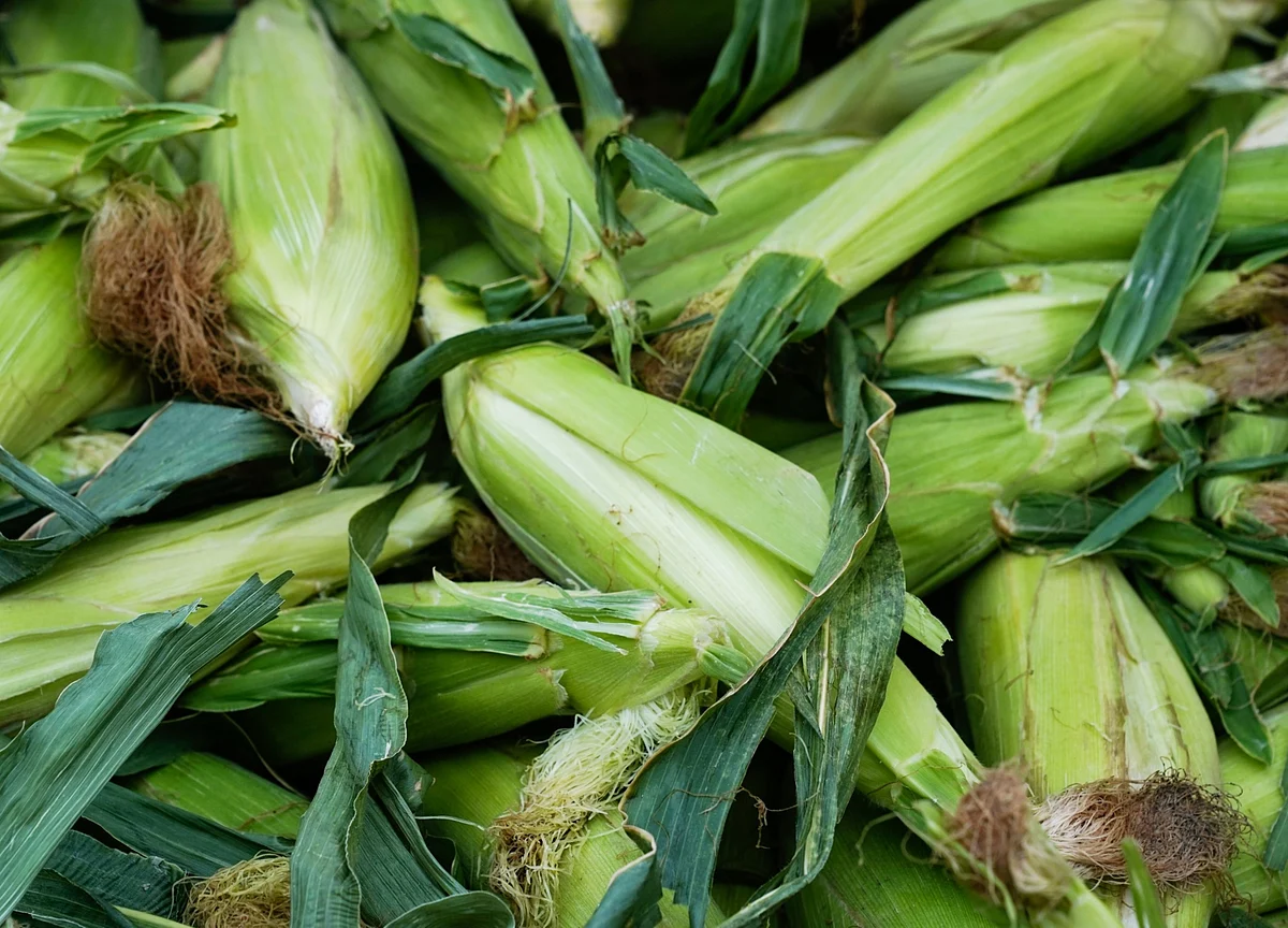China Buys Most U.S. Corn Since 1994, Edging Toward WTO Quotas