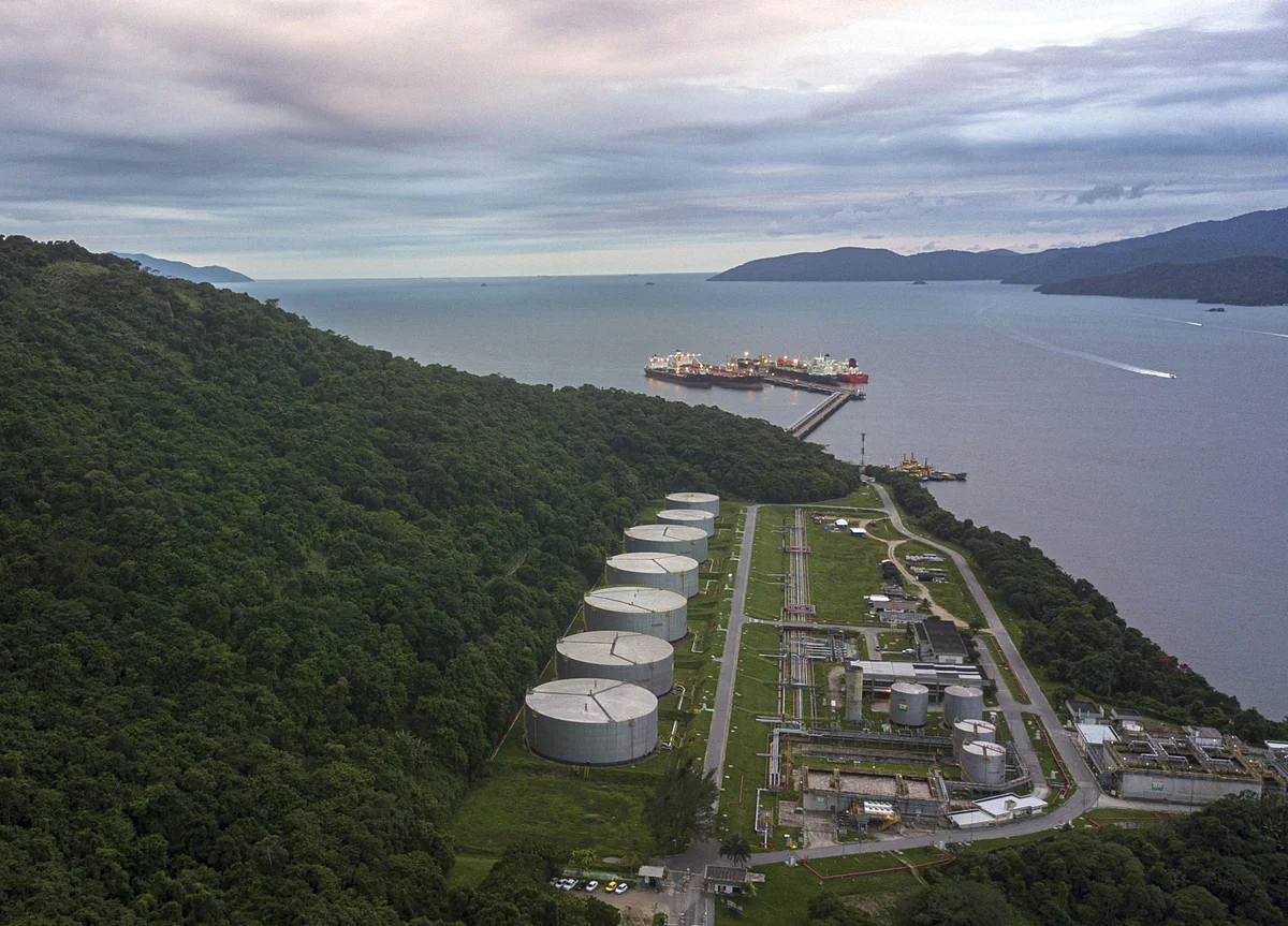 OPEC+ Confident of Reviving Supply Without Hurting Prices