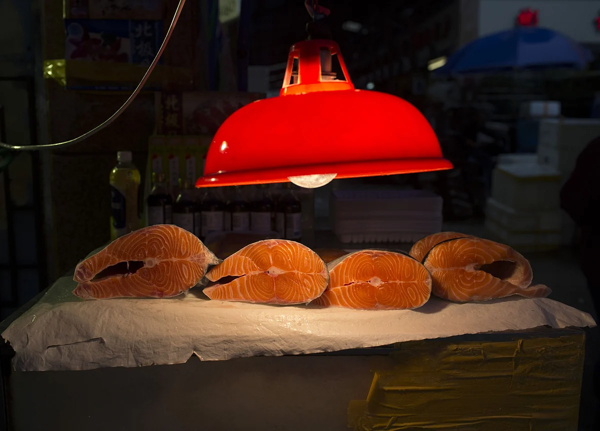 China Buying ‘Practically Zero’ Chilean Salmon After Covid Scare