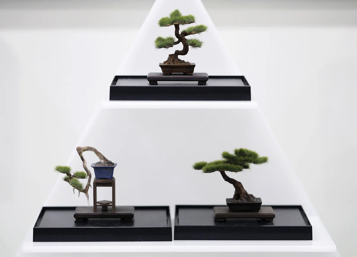 Forget Meditation Apps. I’m Binge-Watching These Bonsai Videos