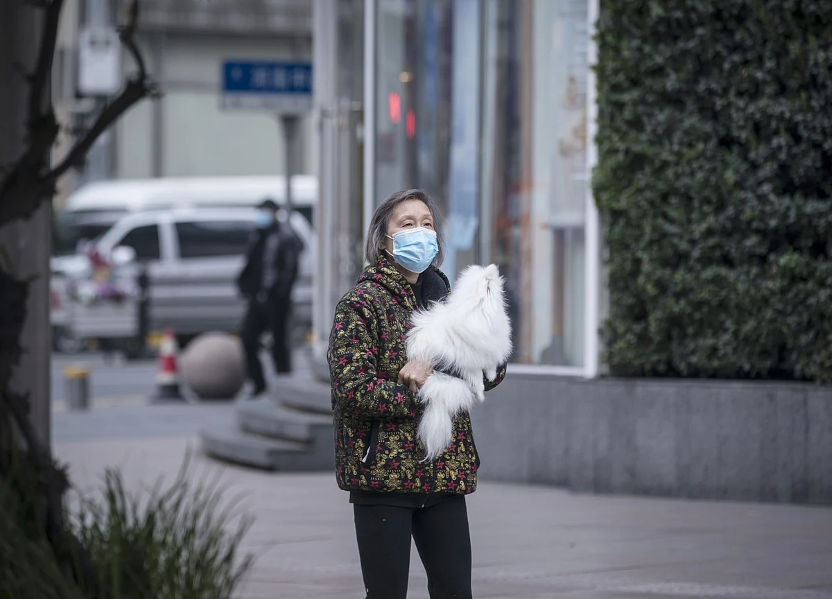 Why Our Pets Have Become Super Needy During the Pandemic