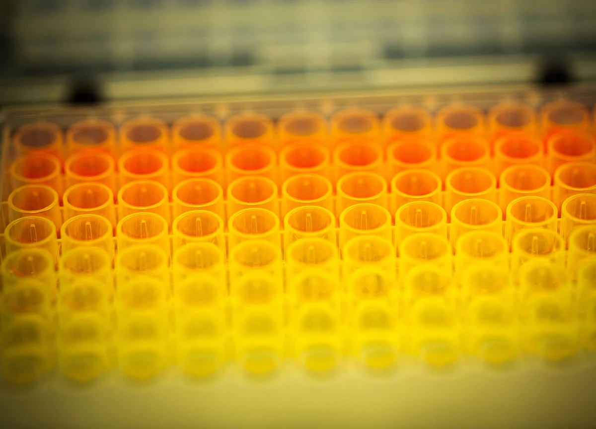 Why Shares Of GMM Pfaudler Surged Near 300% In Pandemic-Hit Year