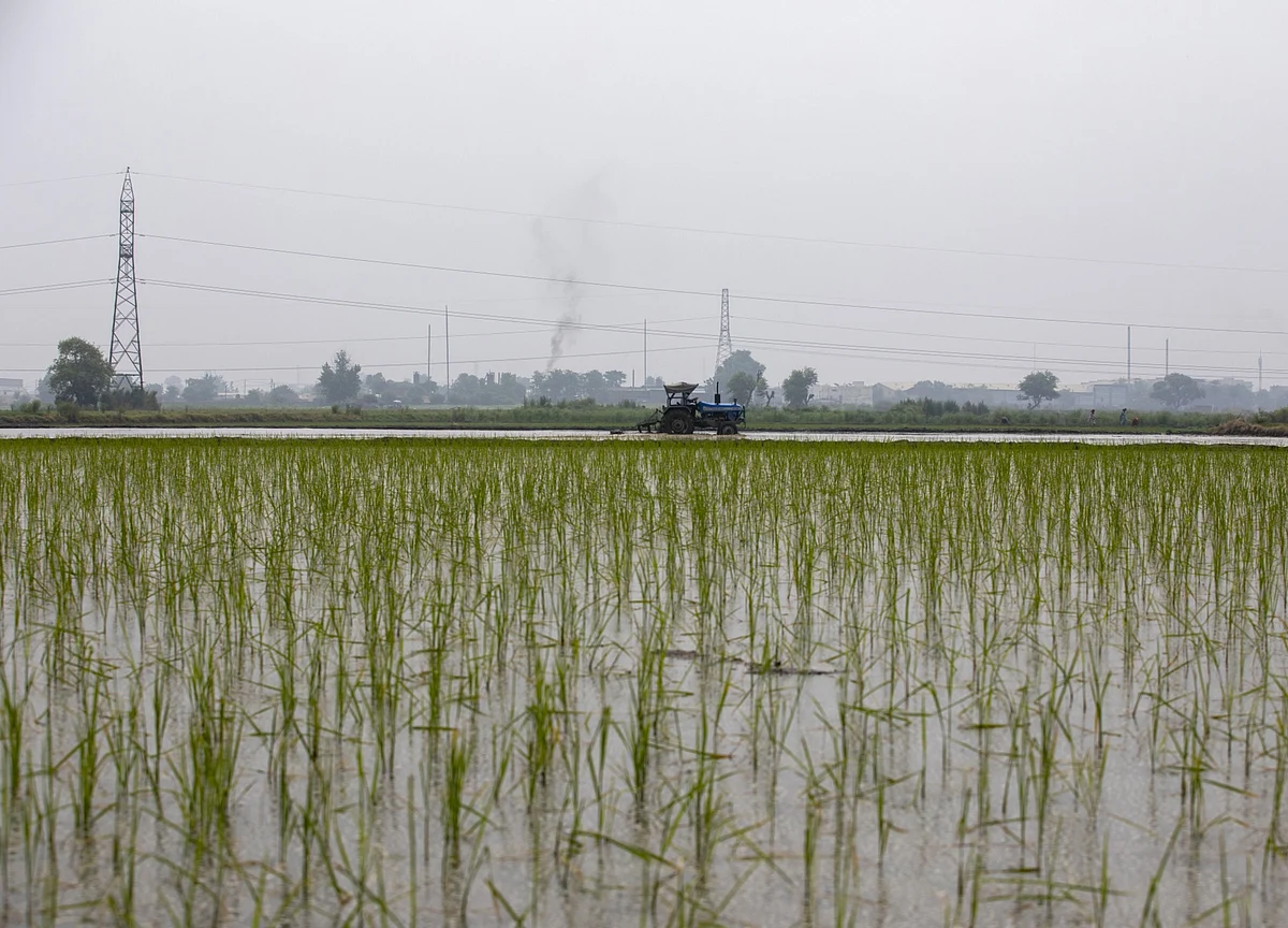 Rs 1-Lakh Crore Agri Infra Fund To Help Enhance Farm Sector Share In GDP: Farmers’ Body