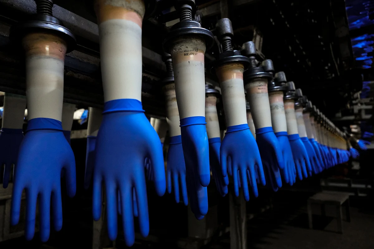 Malaysian Glove Maker Harps Weighs $500 Million IPO