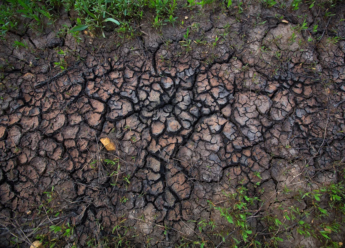 Let’s Hire Laid-Off Oil and Gas Workers to Fight Climate Change