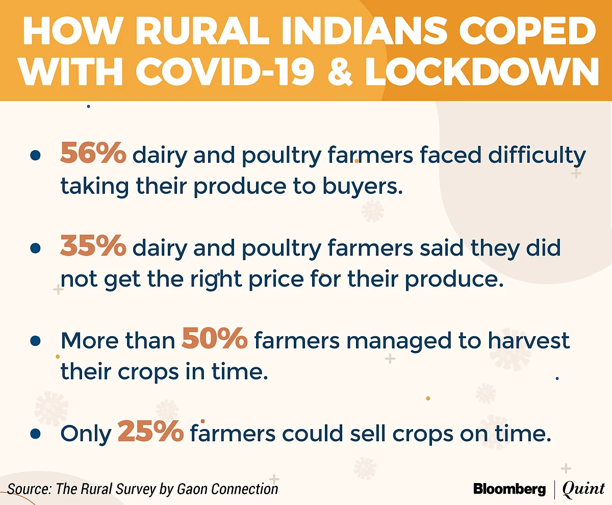 Coronavirus India Updates: Tally Tops 22.6 Lakh; Over 45,000 Dead