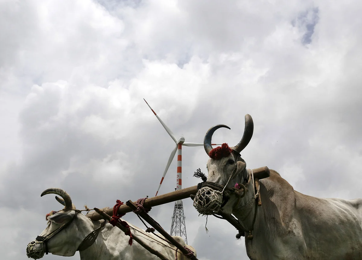 Pandemic Resilience Gives ESG Investing a Boost in India