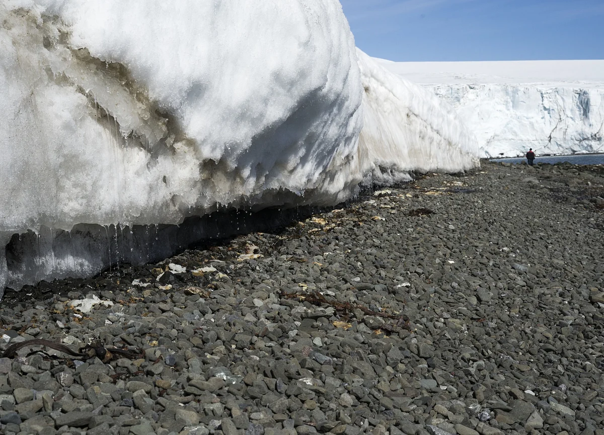 The First Arctic Summer Without Ice Is Coming in Just 15 Years