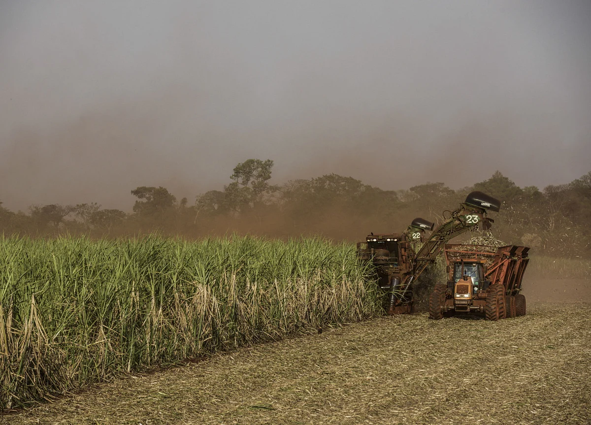 Indian Sugar Mills Look To Emulate Brazilian Peers In Switch To Ethanol