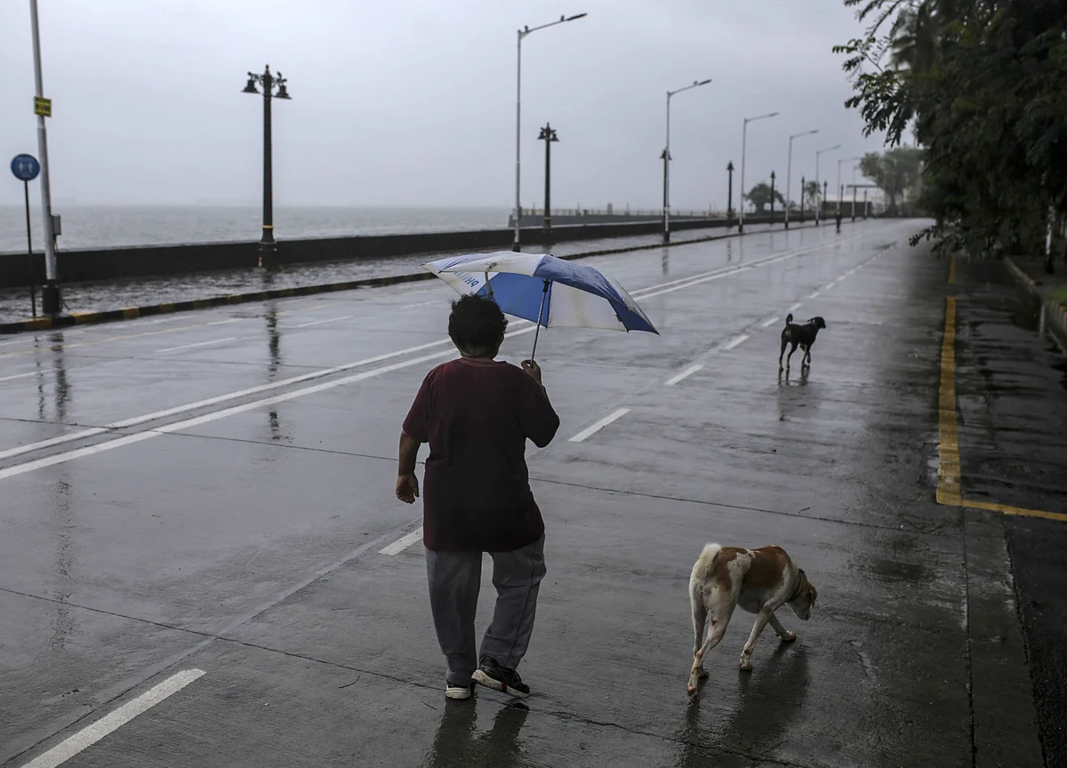 Early Signs of India Economic Recovery Wane as Virus Surges