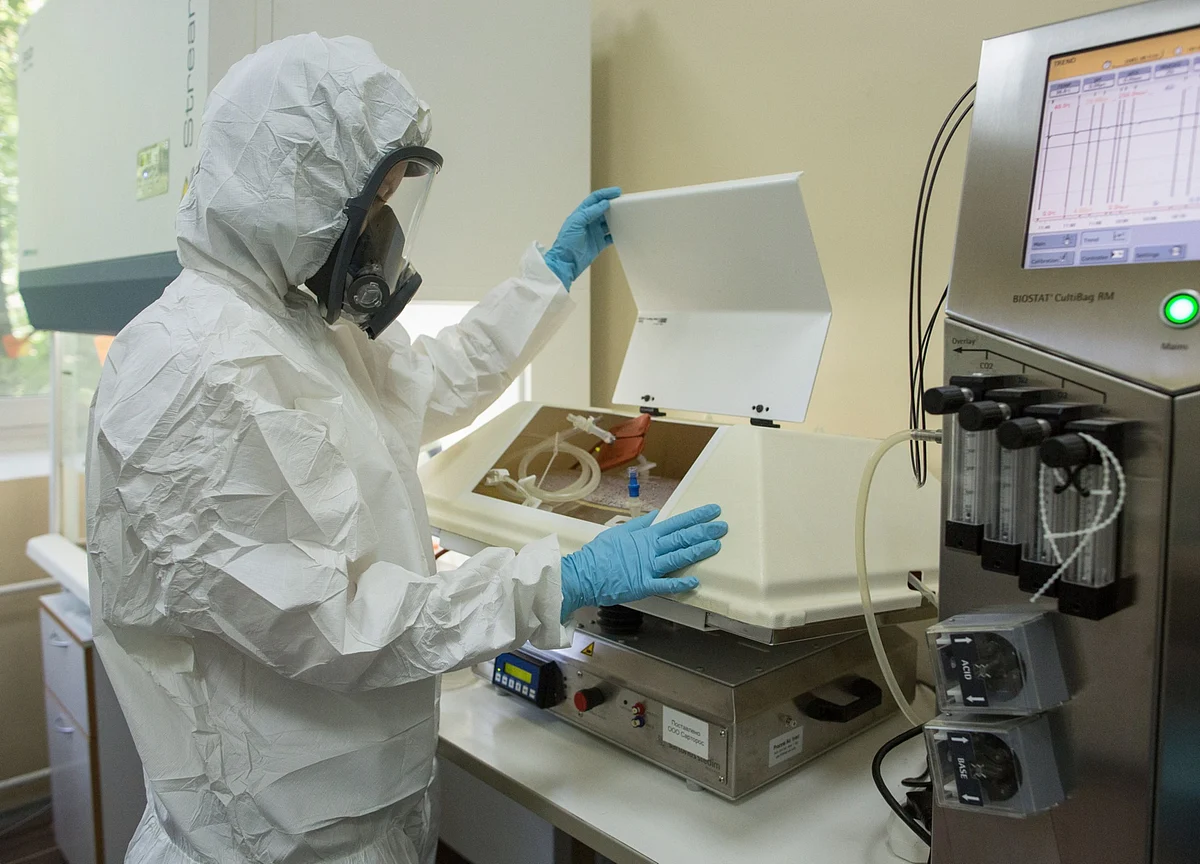 U.S. Cases Up 0.9%; Texas Tops 500,000 Infections: Virus Update