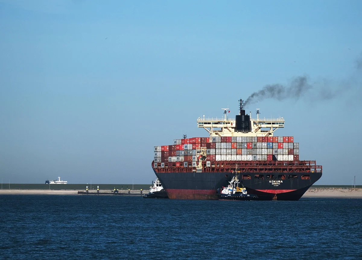 China Feasts on Obscure Oil to Dodge Taxman Amid Demand Gain