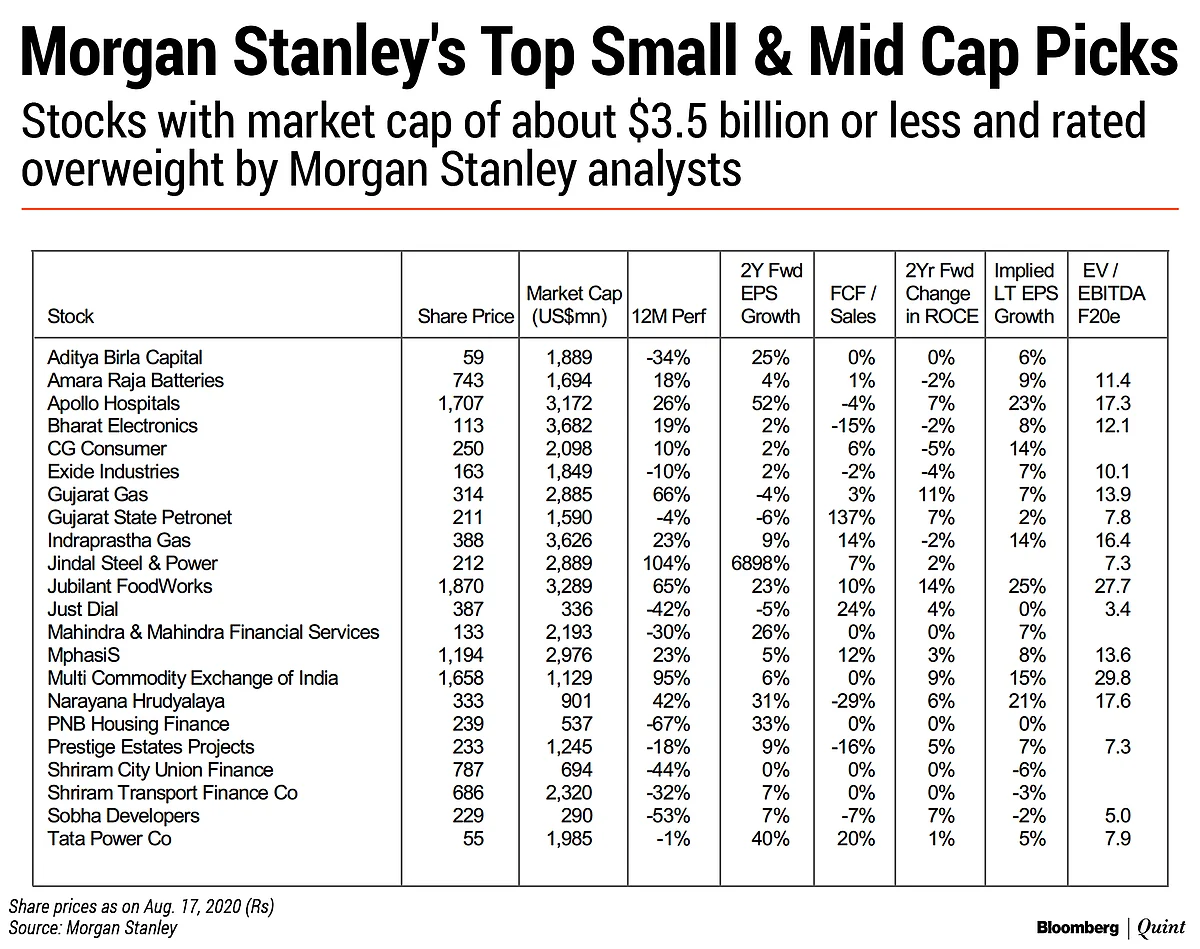 Why Morgan Stanley Sees Small And Mid Caps Staging A Comeback