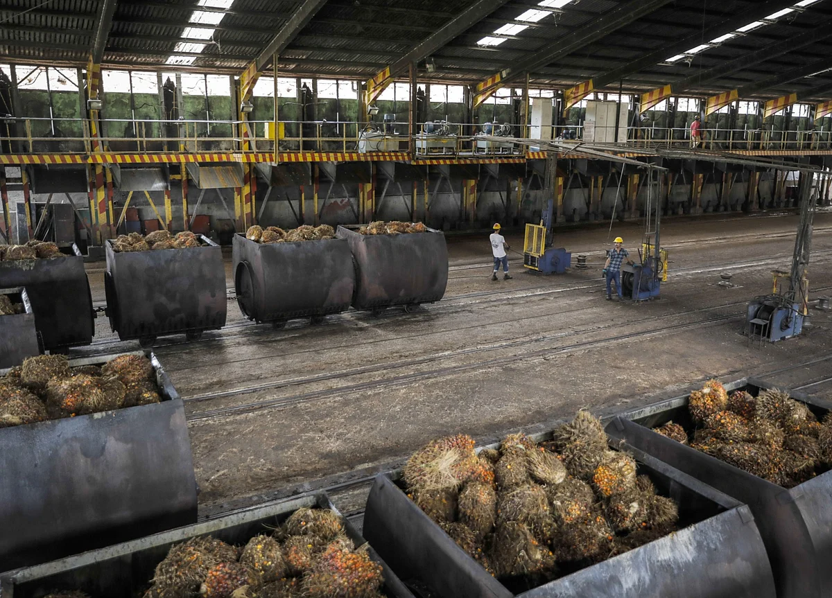 Ben and Jerry’s Maker Uses Phones to Track Sustainable Palm Oil