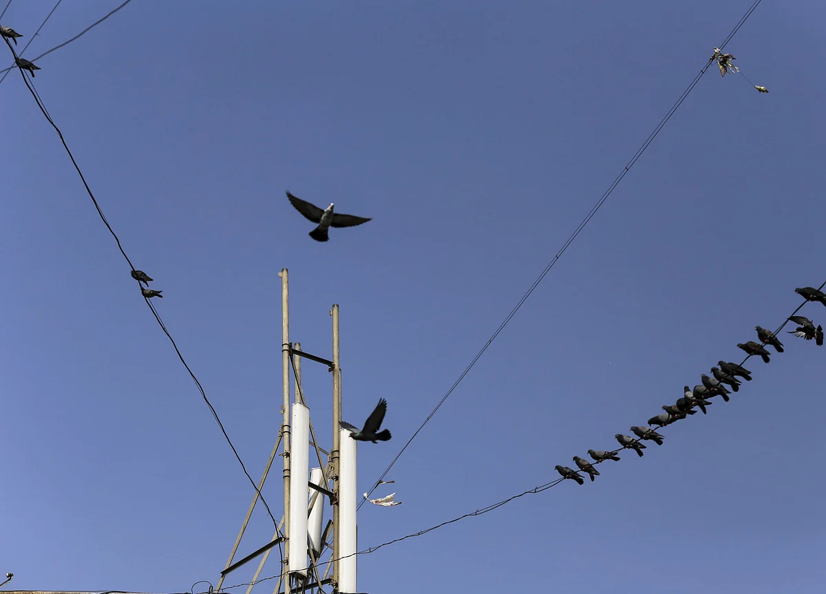 India Seeks Bids From Property Consultants For Monetising MTNL Assets