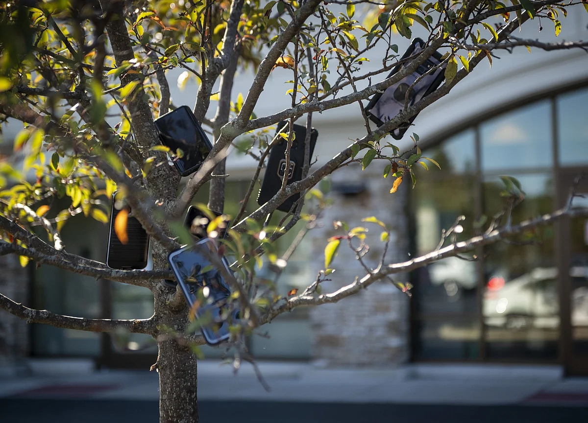 Amazon Drivers Are Hanging Smartphones in Trees to Get More Work