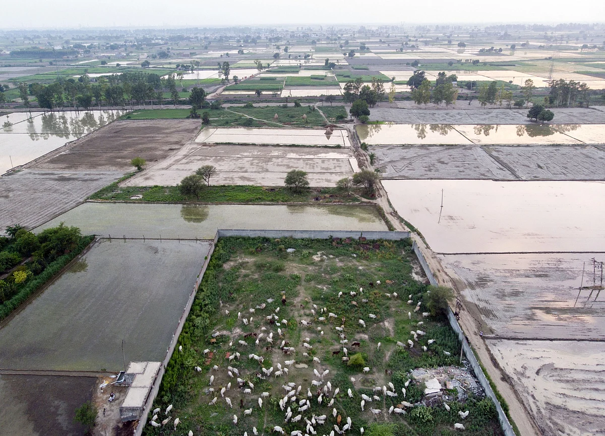 India Hopes Farming Can Boost its Economy. It May Not Be Enough
