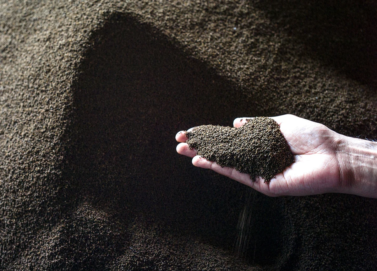 ICICI Securities: Inflation In Tea Prices - A Transitory Impact