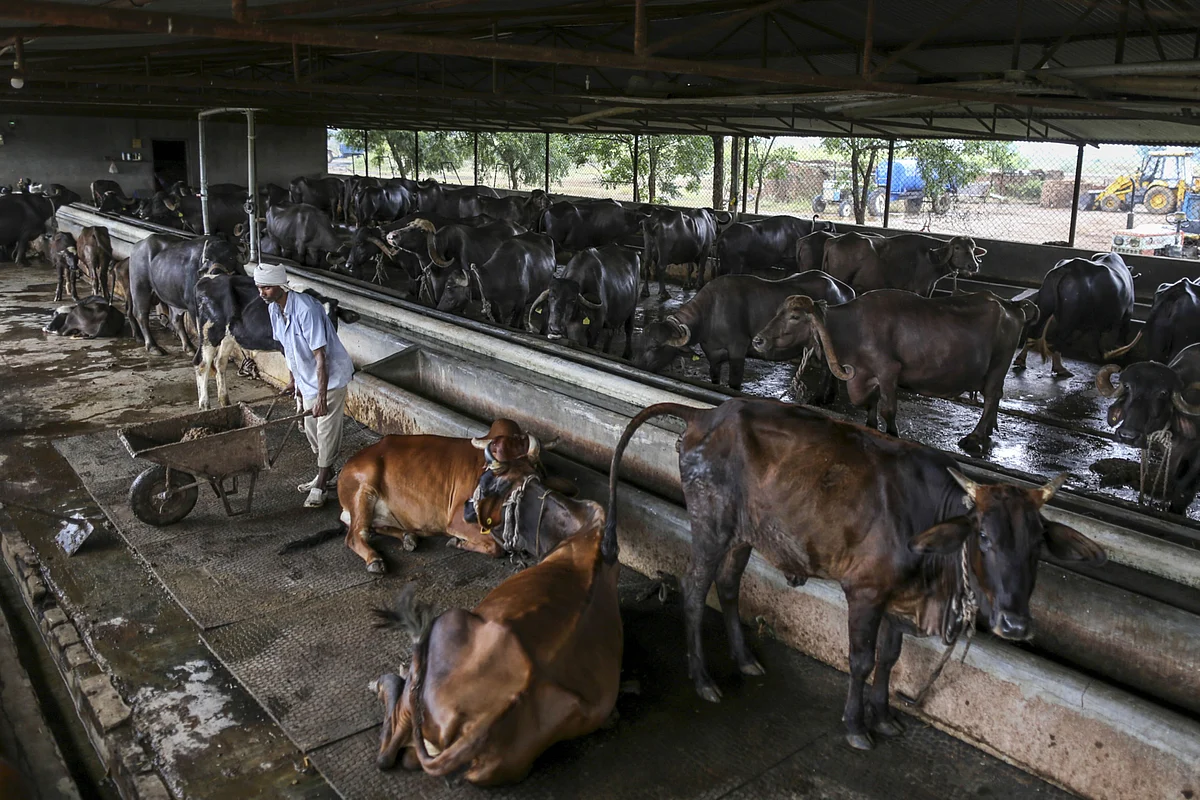 ICICI Securities: Dairy Sector Trend - Higher Wholesale Prices But Lower Procurement Prices
