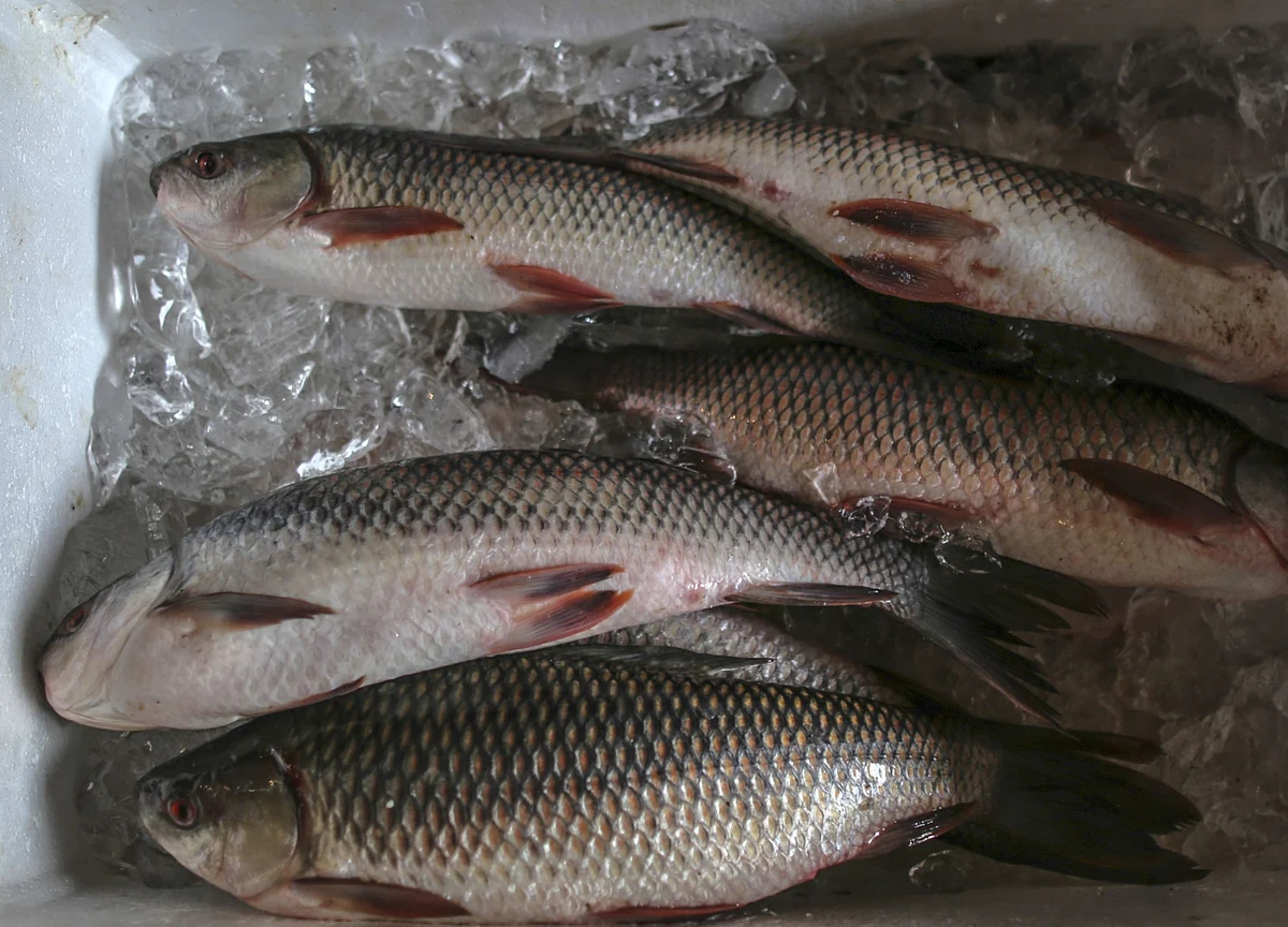 India Seafood Exporter Sees Modi’s ‘Blue Revolution’ Boosting Business