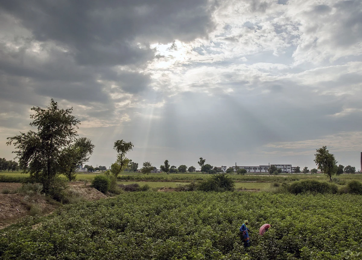 Monsoon Retreat Begins From Parts Of North India: Met Department